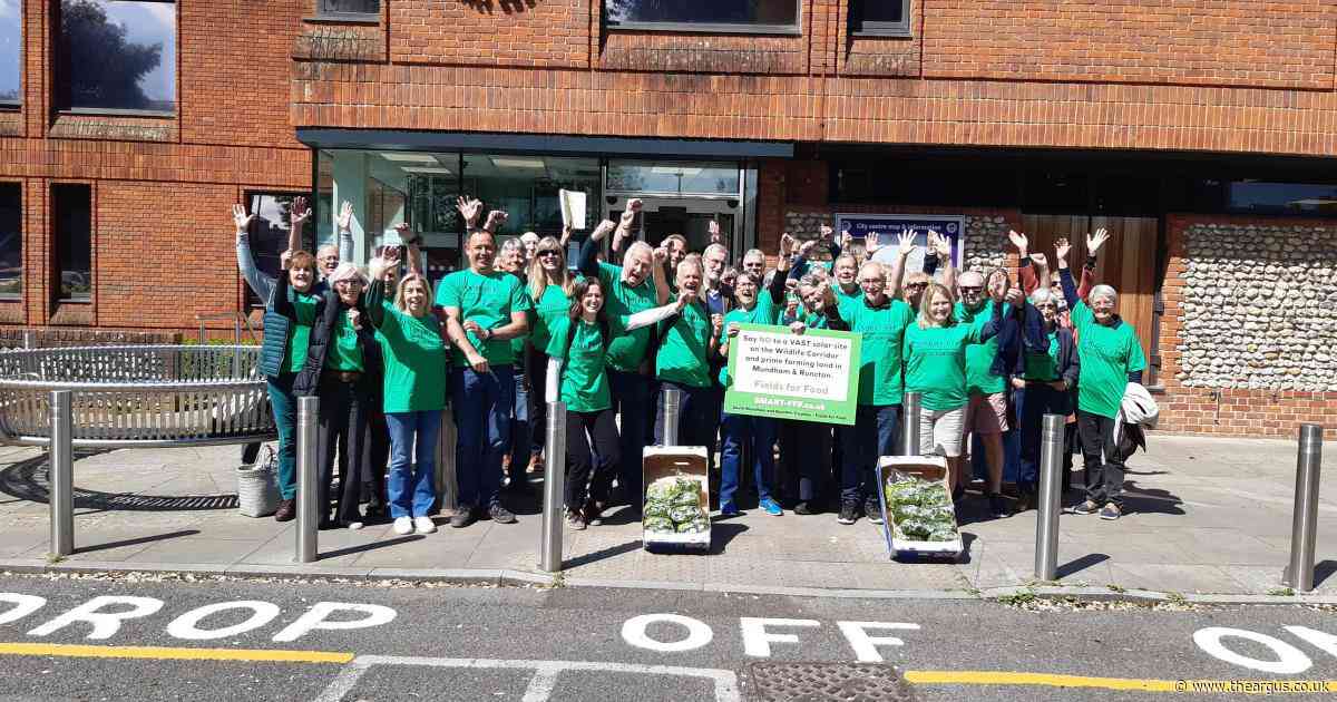 Tears, hugs and the handing out of lettuce after solar panel farm plans rejected