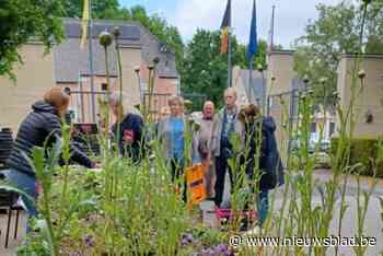 850 gratis bloemenpakketten fleuren gemeente op: “Een echte win-win”