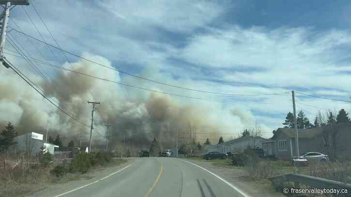 Homes destroyed, people fleeing as wildfires rage in eastern Newfoundland