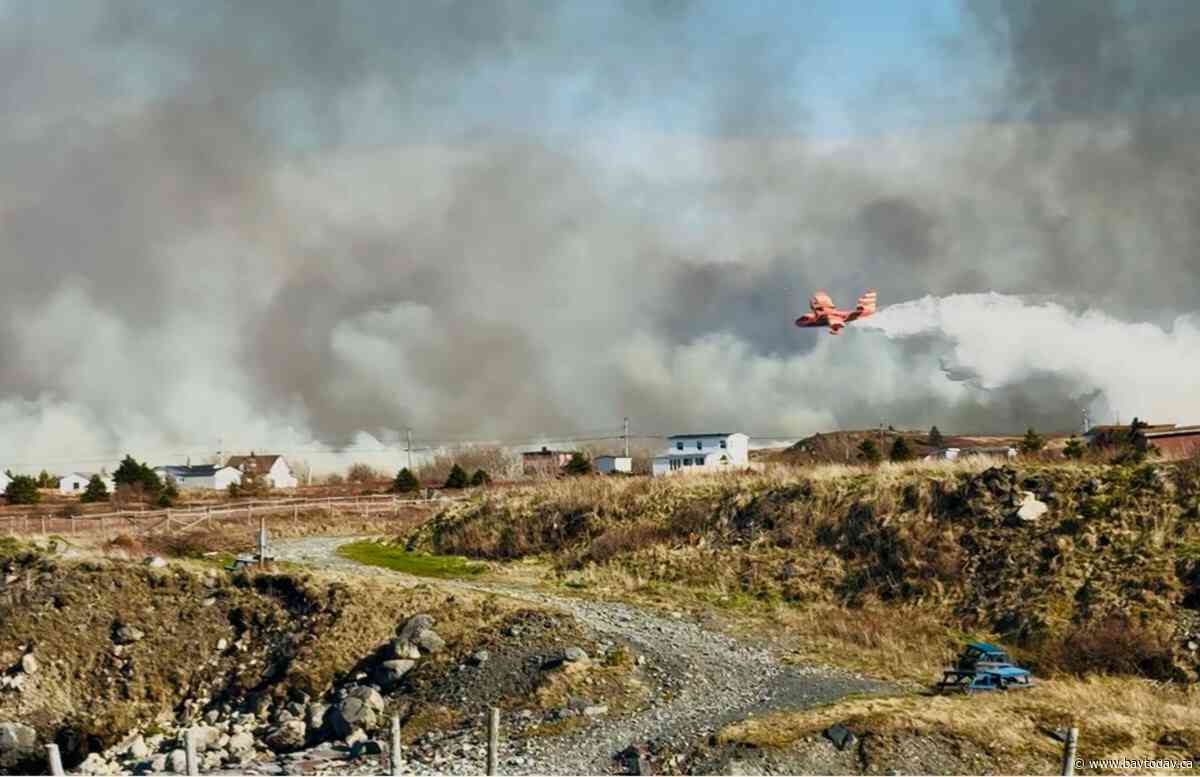 Homes destroyed, people fleeing as wildfires rage in eastern Newfoundland