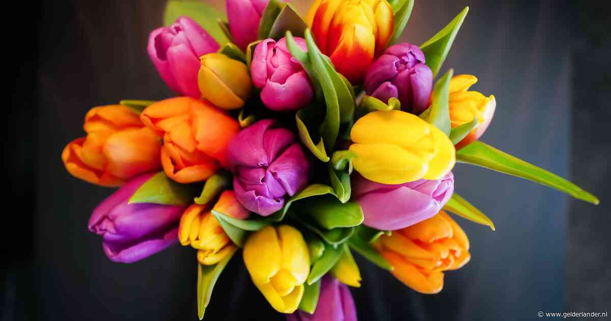 Gif op mijn huid: 5 vragen over een schone, fleurige bloembos