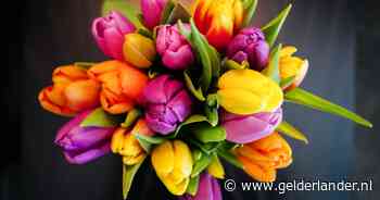 Gif op mijn huid: 5 vragen over een schone, fleurige bloembos