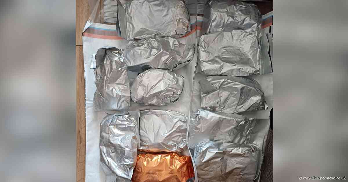 Cocaine and cash seized after police raid house