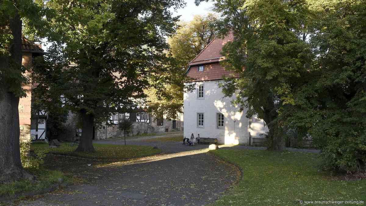 Grünes Licht für Salzgitters Etat: Diese Vorhaben sind gesichert