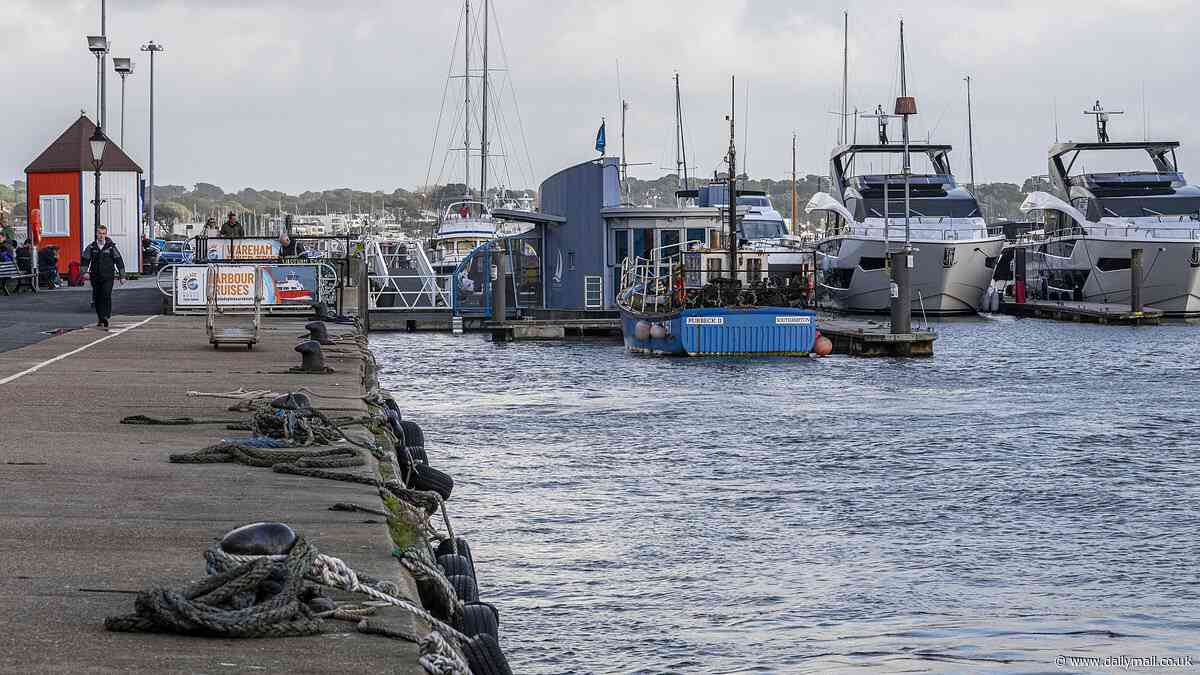 Disabled man killed himself by driving his motorised wheelchair over harbour wall and into the sea in front of stunned passers-by, inquest hears