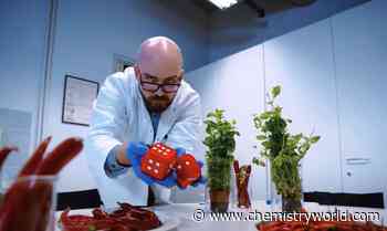 Food chemist takes top prize of annual Dance your PhD contest