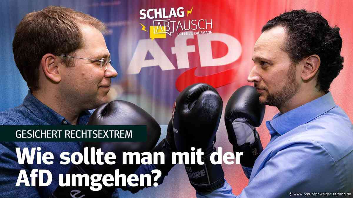 Wie umgehen mit der AfD: Sollte die Partei verboten werden?