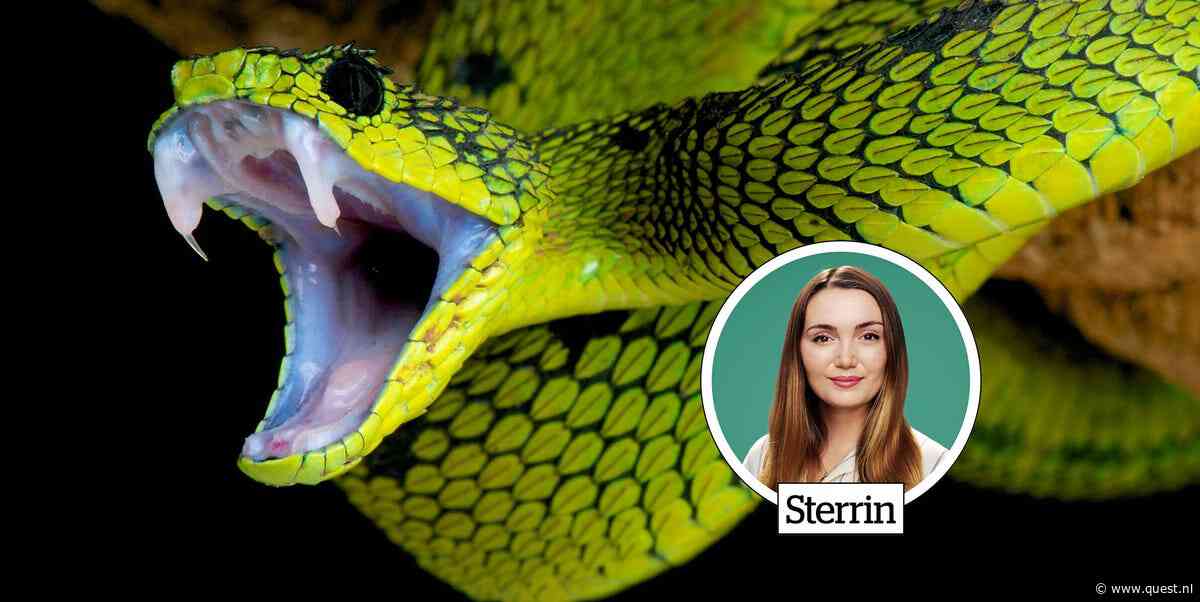 Buitenbeestjes: Zo redden kinderen het leven van mensen en slangen
