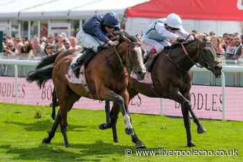 Chester May Festival 2025: Mount Kilimanjaro wins the Dee Stakes