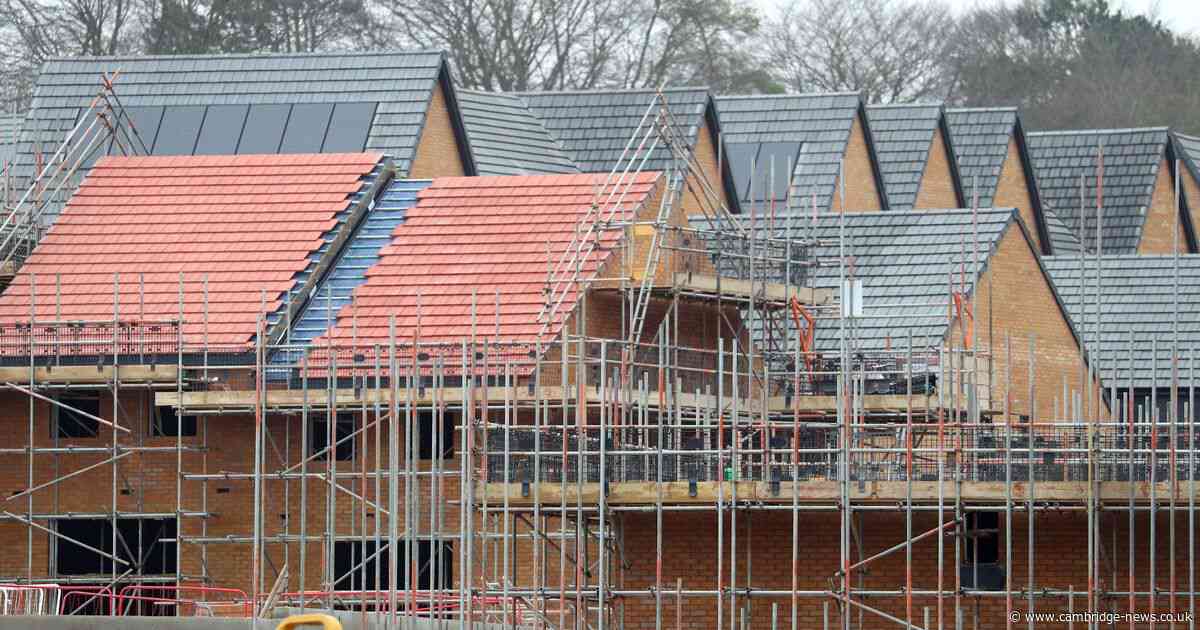 People will have chance to build their own home in development of over 300 houses