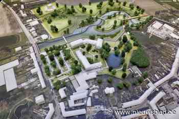 Infomarkt omtrent eerste fase invulling site Dadipark