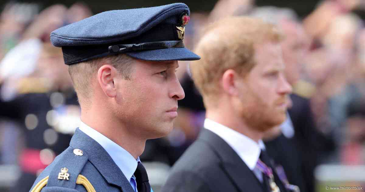 Prince William's friend gives brutal verdict on Prince Harry after BBC interview