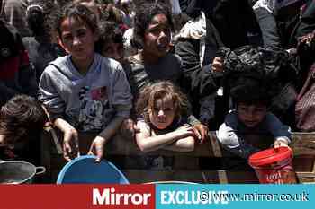 Nappies in war-torn Gaza cost more than flight from UK to holiday hotspot Ibiza