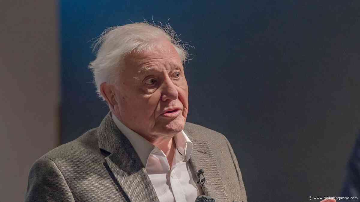 David Attenborough's unique childhood living conditions with padded cells