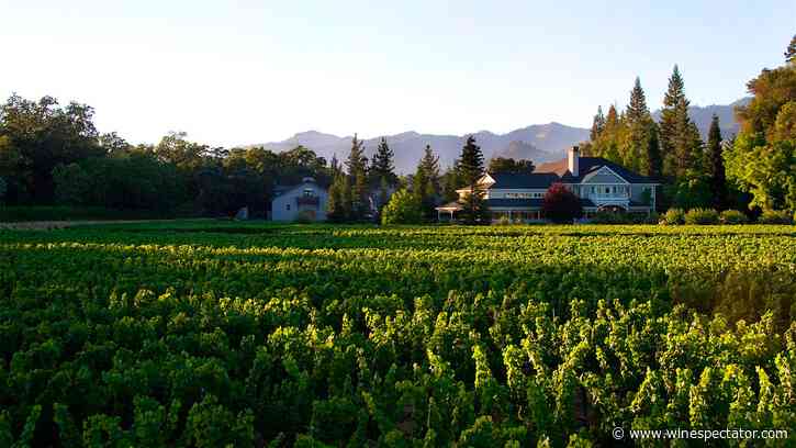 Duckhorn Refocuses Business on Core Wines, Trimming Some Brands and Tasting Rooms