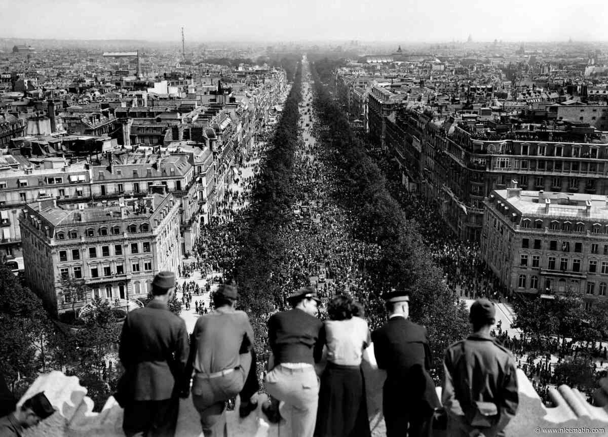 Quatre Français sur cinq se disent "intéressés" par la Seconde Guerre mondiale, 80 ans après