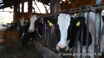 Zweites Tierdrama bei Griesstätt? Anonyme Anzeige ruft Veterinäramt auf den Plan