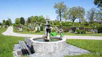 Baumbestattungen auch am Bergfriedhof? Gmunder Gemeinderat diskutiert Planentwurf