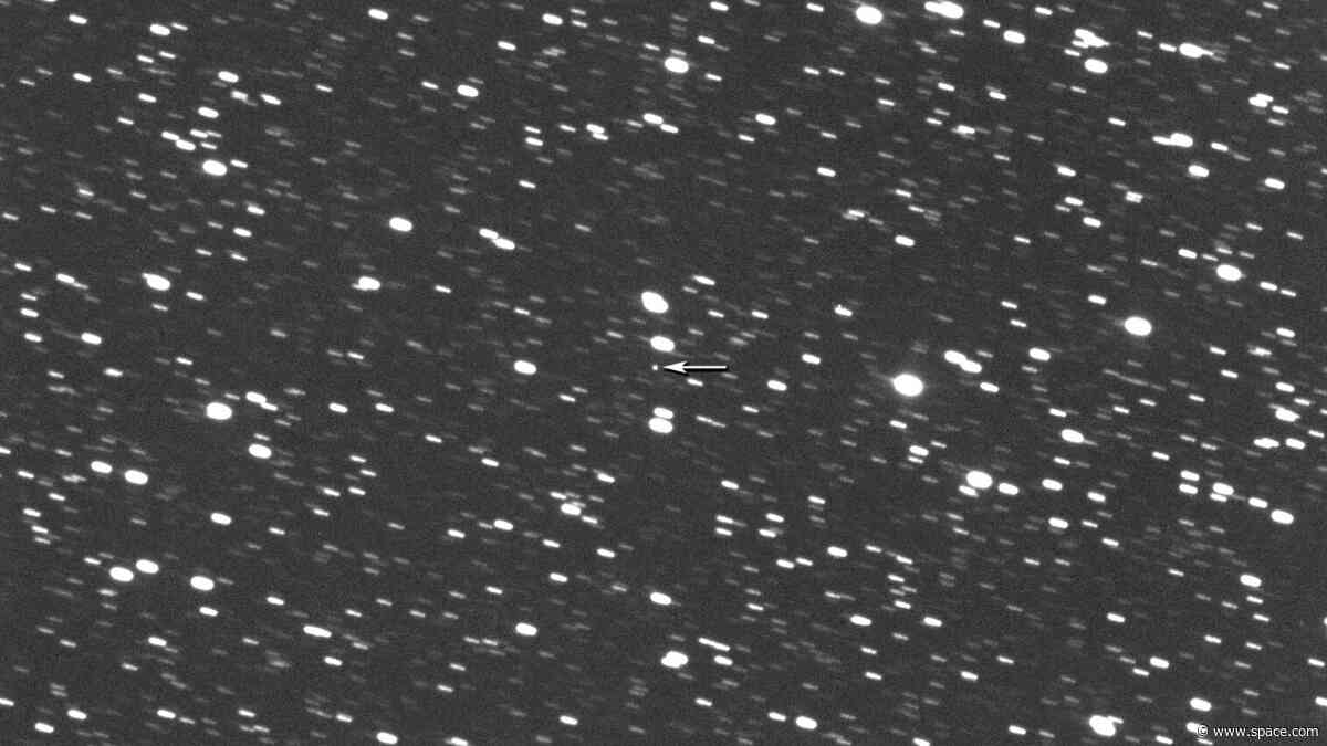 A stadium-sized asteroid will fly past Earth on May 9, and you can watch it live (video)