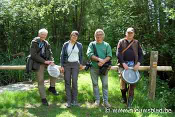 Al honderden nieuwe soorten fauna en flora ontdekt in fusiegemeente: “Van schorpioen tot munt uit 1288”