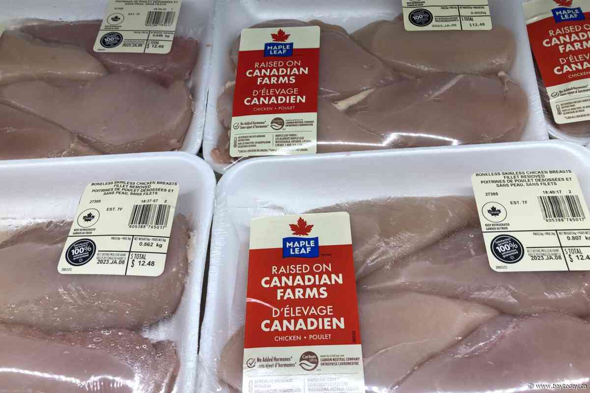 Maple Leaf Foods reports $49.6M Q1 profit, sales up eight per cent from year ago
