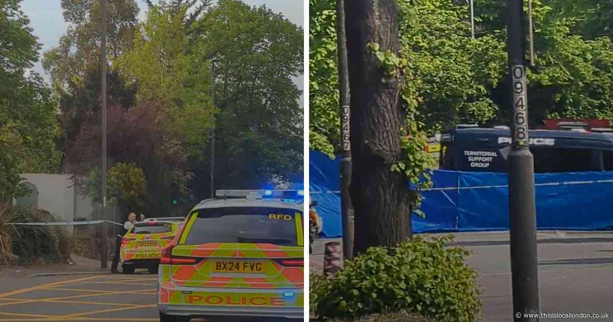 Pictures from scene as Purley road closed for over 16 hours after man dies in crash