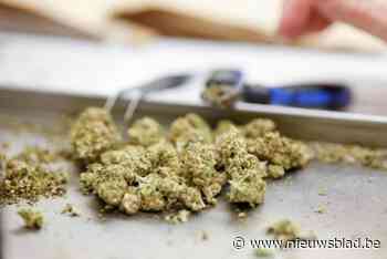 Twee jaar cel voor jonge dealer die geklist werd met grote hoeveelheid cannabis op hotelkamer