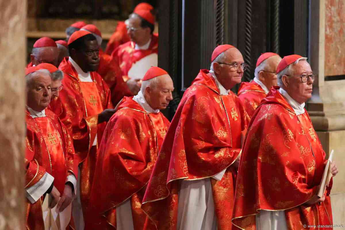 PopeCrave, brat fancams and 7m views: how Gen Z went wild for the papal conclave