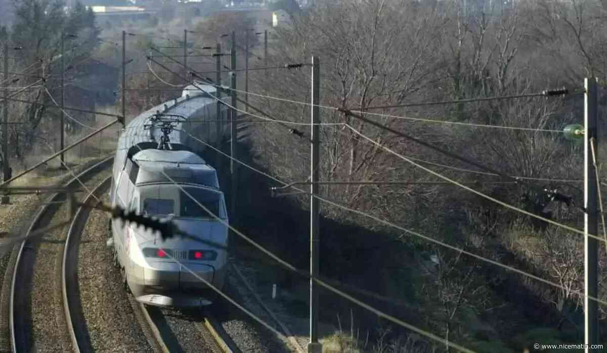 "Il était frigorifié": un homme parcourt 500 kilomètres entre deux wagons du TGV