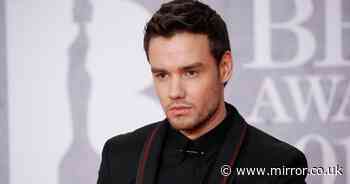 Liam Payne's poignant commitment to son Bear as he's set to inherit father's fortune