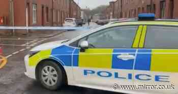 Girl, 6, playing outside her house dies after 'running out into road'