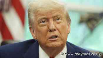 Donald Trump hails Brexit for allowing Britain to do US trade deal separately from the EU after Obama put UK 'at the back of the queue'
