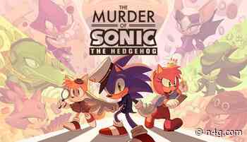 The Murder of Sonic the Hedgehog Review - Netto's Game Room