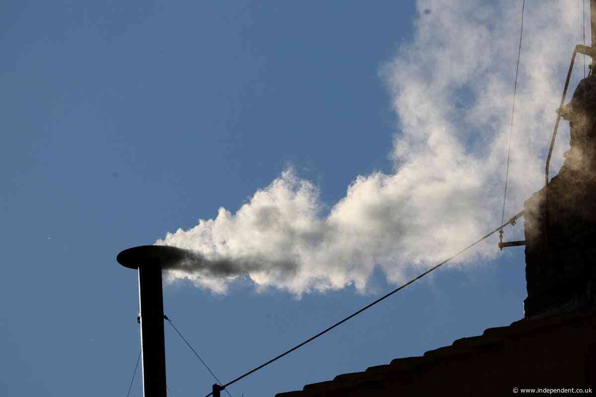Watch live: Cardinals elect new pope as white smoke rises from Sistine Chapel