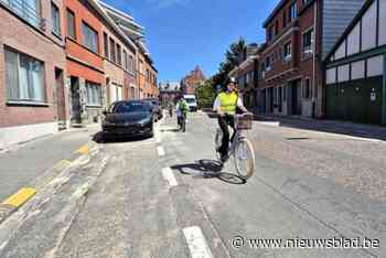 Scholieren leggen fiets-en voetgangersexamens af
