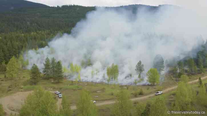 Fraser Canyon First Nation to conduct cultural burn of up to 10 hectares next week
