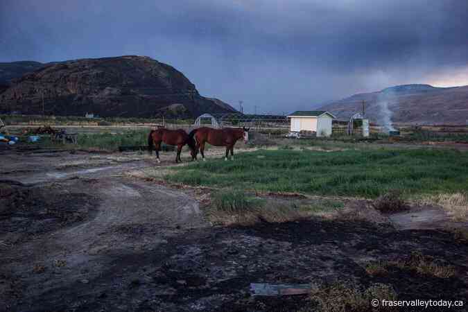B.C. farmers asked to register animal locations ahead of fire season
