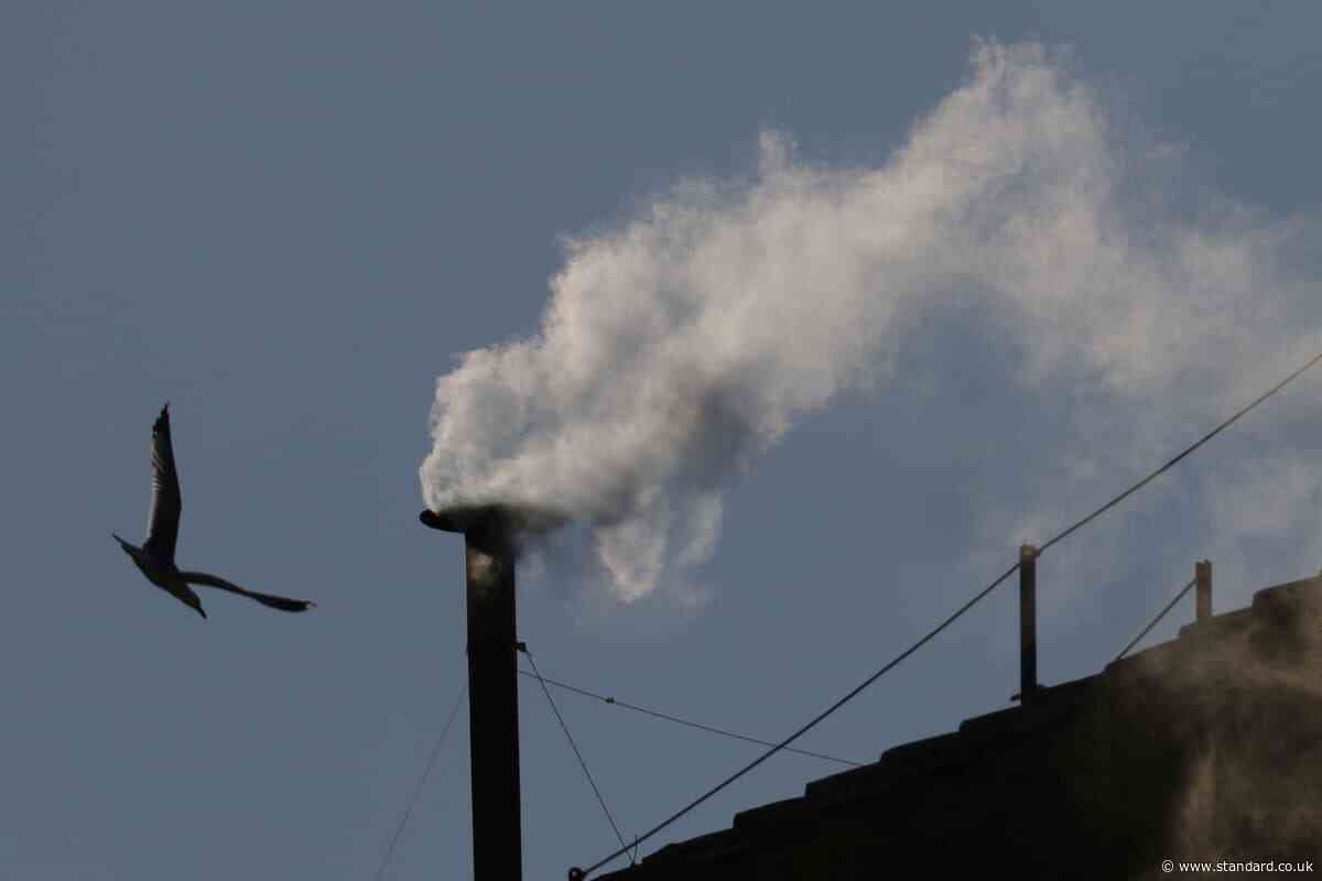 New Pope elected LIVE: New leader of Catholic Church chosen as white smoke pours from Sistine Chapel chimney
