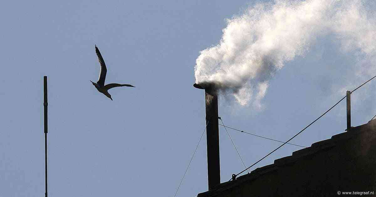 Beelden: het moment dat witte rook boven Sixtijnse Kapel verscheen
