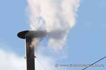 New pope named as white smoke emerges and crowds celebrate