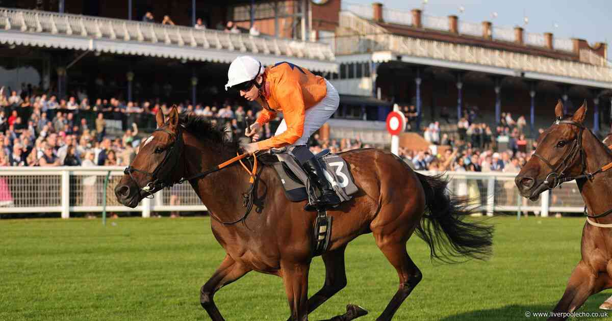 Chester May Festival 2025 day three: Caballo De Mar can win the Chester Cup