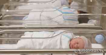 Quebec reports record low fertility and near-record rate of immigration in 2024