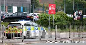 Police issue update after city school locked down