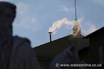 New Pope chosen as white smoke seen above Vatican