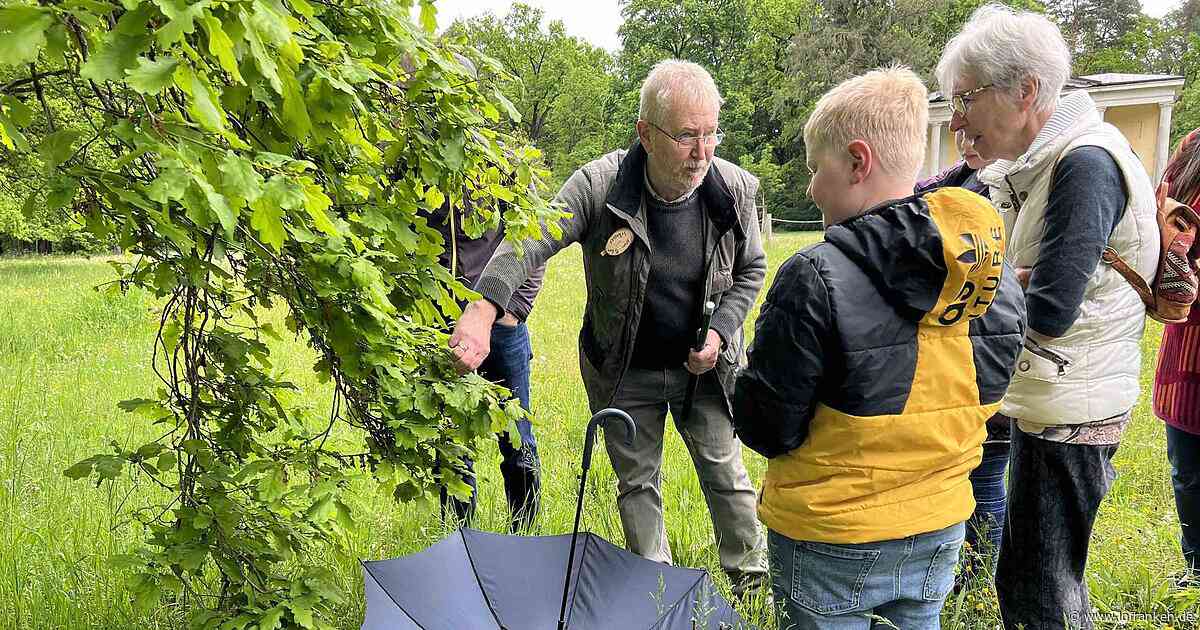 Exkursion im Bamberger Hain - den Schmetterlingen auf der Spur