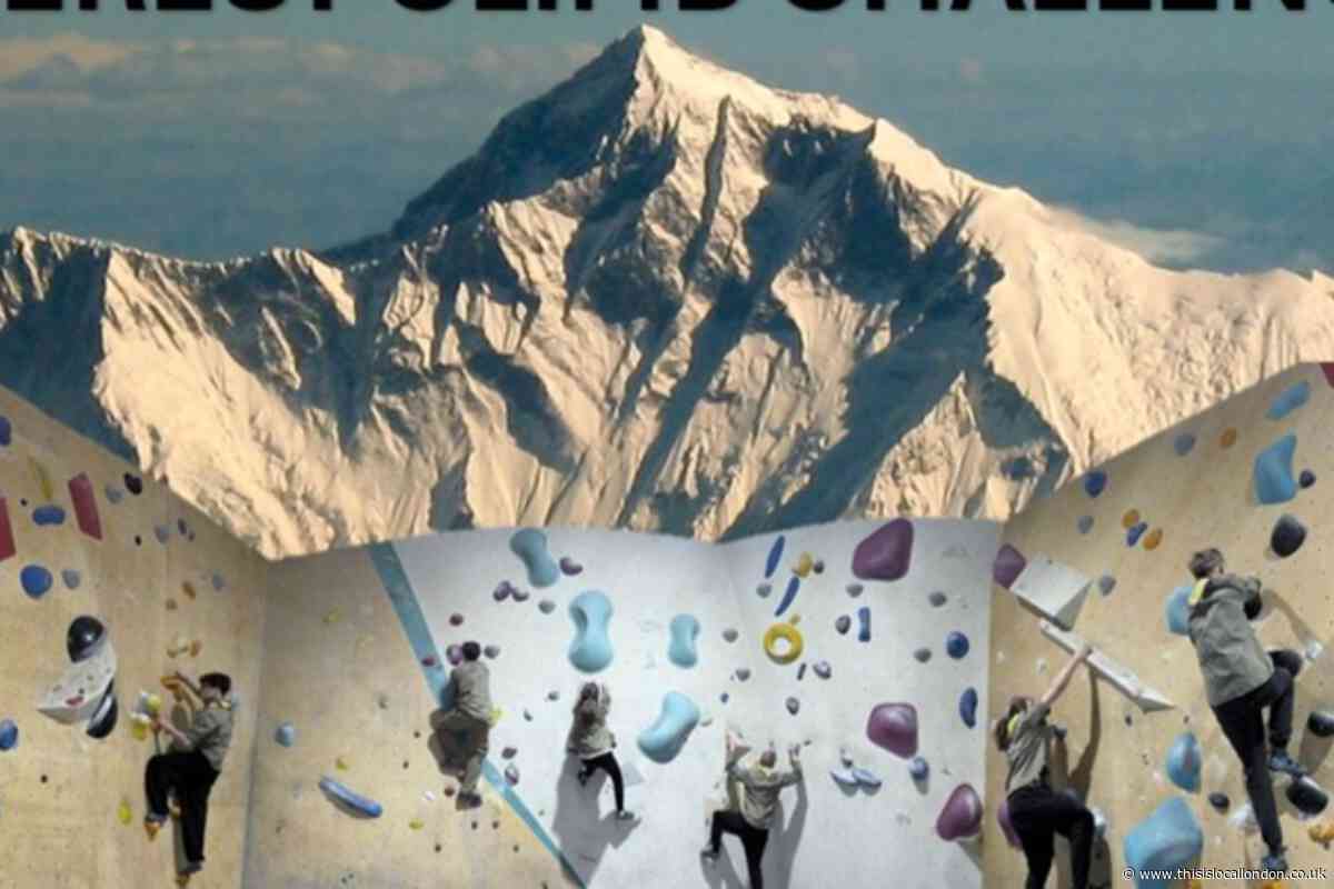 Bromley scouts to climb Mount Everest equivalent after 'devastating' mini bus theft