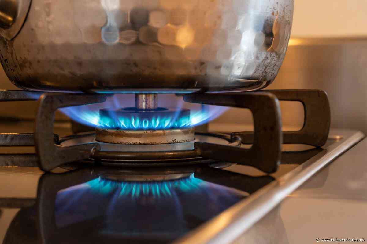 Warning issued for common appliance - found in two out of five homes - that increases cancer risk for children