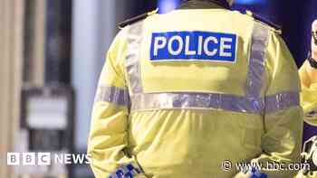 Dog owner arrested following series of attacks
