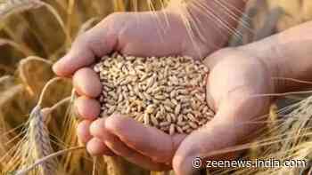 Rumours Of Food Grain Shortage Baseless, Says Union Minister; Advises Against Panic Buying