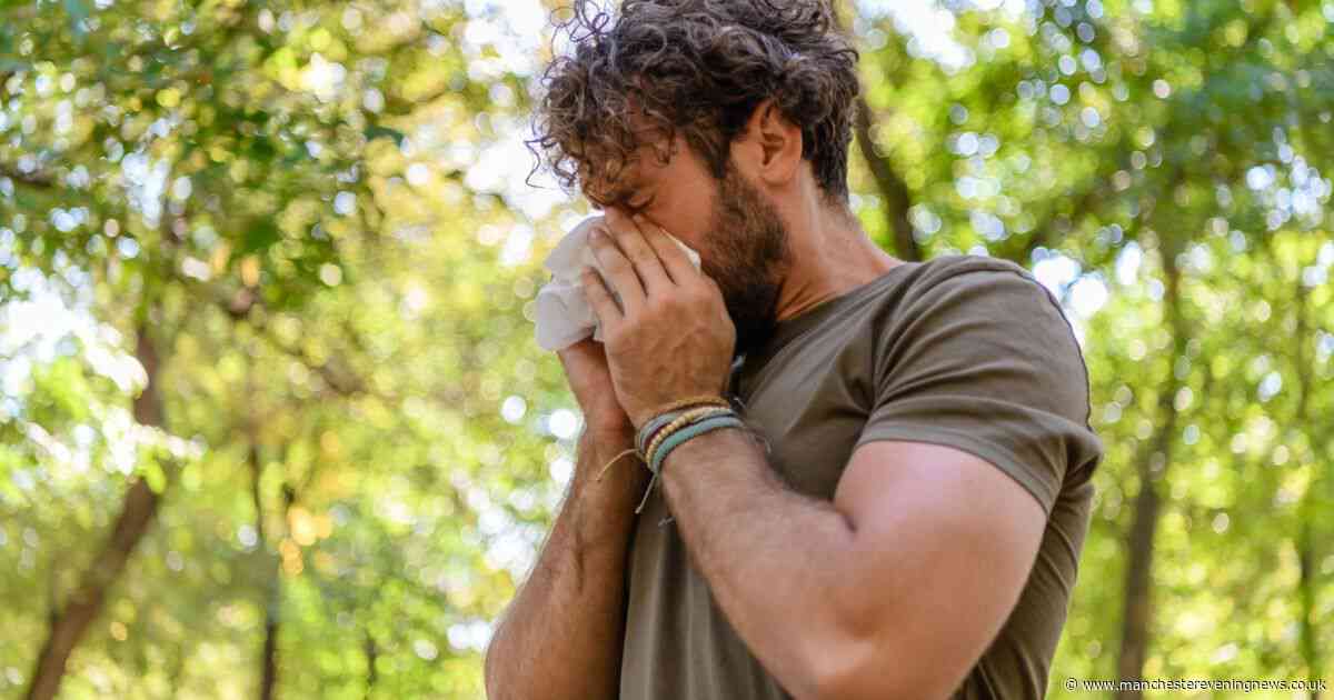 Pollen surge in Greater Manchester as hay fever sufferers urged to eat these foods to help symptoms